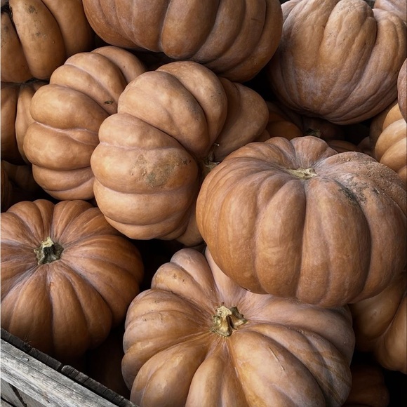 โฟ AUTUMNโS CLOSET โฟ - Picture 3 of 3